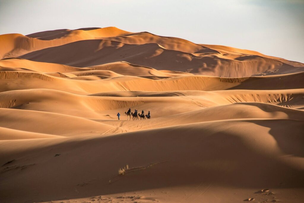 Wüste in Marokko mit Guide und vier Kamelen mit Touristen