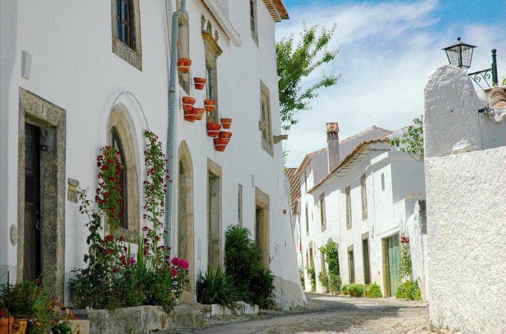 Weisse Häuser mit roten Planzen und roten Blumentöpfen, Portalegre, Portugal